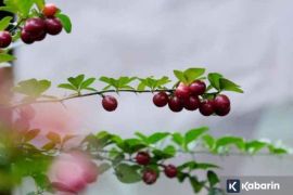 Dari Layar ke Lokasi: Wisata Visual Dorong Gen Z Jelajahi Bekasi