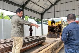 Dua sopir truk angkut kayu ilegal ditangkap di Luwu