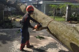 BMKG Jatim beberkan penyebab angin kencang yang melanda wilayah Malang