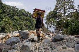 Petani manggis Tanah Datar mulai bangkit setelah terdampak bencana