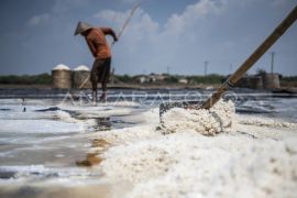Produksi garam nasional diprediksi hanya 1 juta ton tahun ini