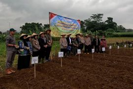 Pemkot Bogor gandeng Polri dan TNI untuk manfaatkan lahan tidur