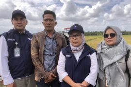 Bulog Sumsel Babel siap tambah gudang di sentra padi Musi Banyuasin