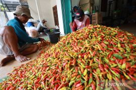 Harga cabai rawit merah Rp72.500 per kg, bawang merah Rp43.350 per kg