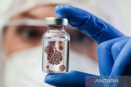 Dinkes Yogyakarta menggencarkan surveilans antisipasi virus Nipah