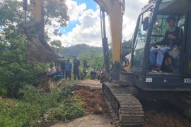 BPBD: Akses jalan OKU Selatan-Bengkulu sudah bisa dilalui