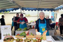 Ekonom dukung transisi kompor listrik subsidi LPG guna kurangi beban