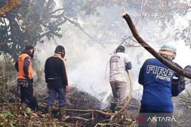 BNPB sebut 435 hektare lahan mineral terbakar di Kalbar