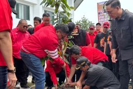 Hasto Kristiyanto tanam pohon di Embung Giwangan, tekankan politik sebagai strategi kebudayaan