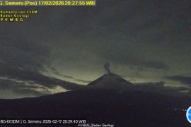 Gunung Semeru kembali erupsi dengan tinggi letusan 800 meter