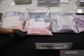 BNN bersama Bea Cukai gagalkan peredaran 4.080 butir ekstasi