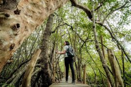 Wamen Pariwisata tekankan pentingnya pariwisata berkelanjutan agar RI berdaya saing global