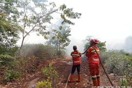 Lima kabupaten/kota di Riau tetapkan status siaga darurat karhutla