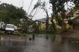 PLN bergerak cepat pulihkan listrik terdampak hujan dan angin kencang di pantura Jateng