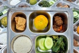 Hoaks! MBG diganti jadi BPJS Kesehatan gratis