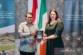 Menekraf jajaki kolaborasi di bidang industri kreatif dengan Irlandia