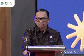Wamenkeu: Ekonomi RI tetap solid di tengah tekanan harga komoditas