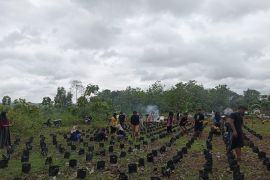 Pemuda Petani Punk siap jadi pemasok dapur MBG dengan teknologi modern