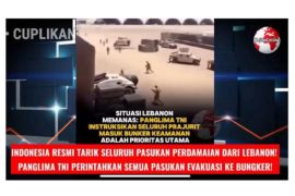 Lindungi UNIFIL, pengamat sarankan RI gandeng Prancis ke DK PBB