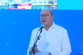 CEO Danantara: 13 Proyek Hilirisasi Rp116 Triliun Jadi Langkah Awal Transformasi Ekonomi