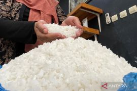Nindya Karya sebut tambak garam Rote Ndao perkuat swasembada nasional