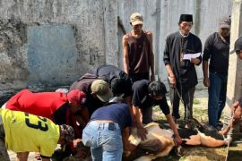 Anggota DPRD Jabar: Pelaksanaan kurban di Kuningan berjalan lancar