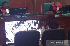 Saksi meringankan sebut terdakwa Sherly korban kekerasan mantan suami