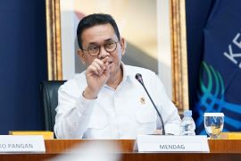 Mendag: Aturan PMSE baru perkuat UMKM dan perlindungan konsumen
