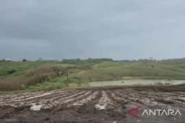 El Nino bakal kurangi intensitas hujan di Jabar dalam sepekan