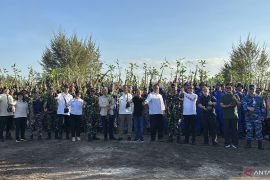 Menteri LH intensifkan tanam mangrove jawab tantangan lingkungan