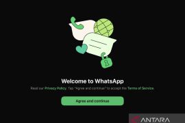 Akun WA diblokir massal, pemerintah panggil Meta