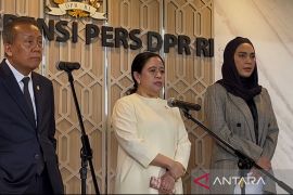 Puan sebut safari politik hak tiap warga saat respons kunjungan Jokowi