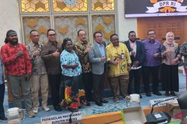 DPR RI bentuk tim investigasi dampak tailing Freeport