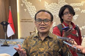 Pemerintah sebut PFII di KEK bisa tawarkan insentif fiskal berlapis