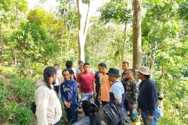 Kodim Agam ungkap ladang ganja di Palembayan, dua petani diamankan