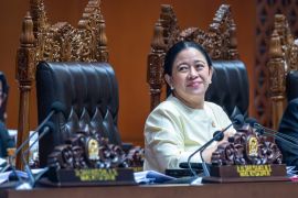 Puan ingatkan penanganan karhutla harus lintas kementerian