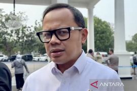 Wamendagri soroti kesiapan APBD tangani kekerasan perempuan-anak