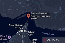 Korsel disebut siapkan pengerahan militer ke Selat Hormuz