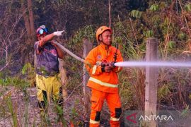 BPBD Kaltim: Penegakan larang praktik pembakaran lahan  sangat krusial