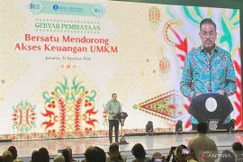 Pemerintah dorong alokasi kredit UMKM naik jadi Rp2.000 triliun