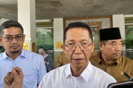 Pemkot Batam sebut gangguan penerbangan berdampak ke MICE-pariwisata