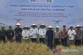 Pemprov Kaltim dan BI kolaborasi terapkan digital farming" di Kukar