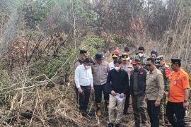 Wapres tinjau karhutla di Kalimantan, pastikan penanganan optimal