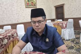 Legislator Jambi minta satgas investigasi kebakaran di habitat gajah