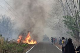 Pengamat: Penegakan hukum karhutla jangan berhenti pada perorangan