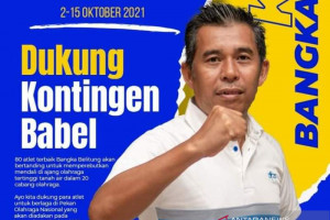 KONI Babel targetkan tujuh cabor raih medali di PON Papua