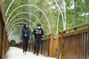 Pengelola Eco Wisata Mangrove Mimika perketat prokes bagi pelancong