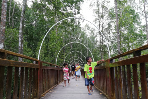 Kunjungan Ecowisata Mangrove Poumako terdongkrak PON Papua