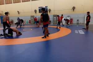 Gulat Sumbar targetkan dua medali emas di PON Papua