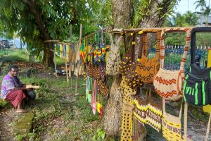 Pilihan noken termahal buat 'buah tangan' harganya sampai Rp4 juta